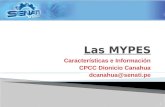 Características e Información CPCC Dionicio Canahua dcanahua@senati.pe 1.