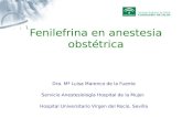 Fenilefrina en anestesia obstétrica Dra. Mª Luisa Marenco de la Fuente Servicio Anestesiología Hospital de la Mujer. Hospital Universitario Virgen del.