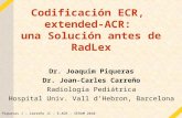 Piqueras J – Carreño JC – E-ACR - SERAM 2010 Codificación ECR, extended-ACR: una Solución antes de RadLex Dr. Joaquim Piqueras Dr. Joan-Carles Carreño.