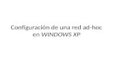 Configuración de una red ad-hoc en WINDOWS XP. Abrir Conexiones de Red.