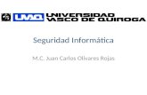 Seguridad Informática M.C. Juan Carlos Olivares Rojas.