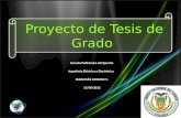 Proyecto de Tesis de Grado Escuela Politécnica del Ejercito Ingeniería Eléctrica y Electrónica SEBASTIÁN DONOSO V. 12/06/2012.