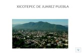 XICOTEPEC DE JUAREZ PUEBLA TOPONIMIA El nombre proviene de las radicales náhuatl "xico", jicote, abejorro; "tepec", lugar; en conjunto significa "Lugar.