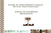 Estudio de Vulnerabilidad e Impacto del Gran Chaco Americano Análisis de Sensibilidad Agropecuario.
