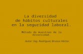 La diversidad de hábitos culturales en la seguridad laboral. Método de muestreo de la diversidad. Autor: Ing. Rodríguez Brussa Héctor.