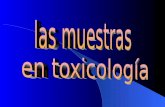 EXPOSICIÓN ACCIDENTAL VOLUNTARIA LABORAL Cantidad del tóxico La cantidad del tóxico que ingresa al organismo depende de: –vía de exposición, –patrón.
