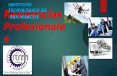 Residencias Profesionales INSTITUTO TECNOLÓGICO DE SAN MARCOS.