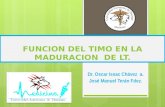 Funcion Del Timo en La Maduracion de Lt.- Jose Manuel Teran.