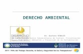 DERECHO AMBIENTAL Dr. Gustavo RINALDI Asesor Subsecretaria de Control, Fiscalización Ambiental y Prevención de la Contaminación.