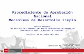Procedimiento de Aprobación Nacional Mecanismo de Desarrollo Limpio TALLER REGIONAL “EL MERCADO DE CARBONO COMO NUEVA OPORTUNIDAD DE PROYECTOS AMBIENTALES.