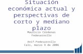 Situación económica actual y perspectivas de corto y mediano plazo Mauricio Cárdenas Fedesarrollo Anif-Fedesarrollo Cali, marzo 9 de 2006.