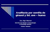 Anafilaxia por semilla de girasol y Sd. ave – huevo Dra. Olga Villarreal Servicio de Alergia e Inmunología. H.Santiago apóstol Vitoria- Gasteiz.