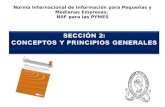 Norma Internacional de Información para Pequeñas y Medianas Empresas, NIIF para las PYMES.