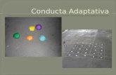 Conducta adaptativa