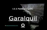 I.E.S Pablo Gargallo Garalquilo © .