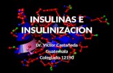 Insulinas e insulinización