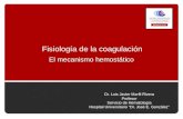 Fisiología de la coagulación El mecanismo hemostático Dr. Luis Javier Marfil Rivera Profesor Servicio de Hematología Hospital Universitario “Dr. José E.
