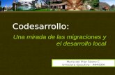Codesarrollo: Una mirada de las migraciones y el desarrollo local María del Pilar Sáenz C. Directora Ejecutiva - INMIGRA.