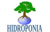 Griego Hydro (agua) y Ponos (labor o trabajo) Griego Hydro (agua) y Ponos (labor o trabajo) La Hidroponia es una ciencia nueva que estudia los cultivos.