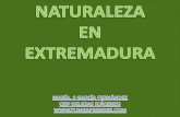 Naturaleza en  Extremadura