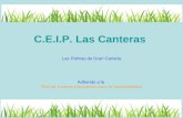 Ceip Las Canteras Encuentro La Palma