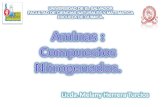 Aminas, Aminoacidos, Proteinas y Enzimas CLASE 2011