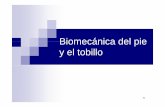 Biomecanica Del Pie y Tobillo