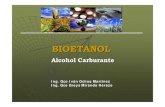 Bioetanol Ivan Ochoa1
