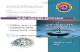 Agua Mineral Socosani (1)