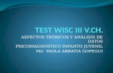 Clase Test Wisc III v (2)