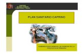 Plan Sanitario Caprino 2011  PRESENTACIÓN