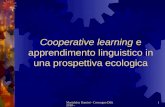 Marialuisa Damini - Convegno Dilit 2010 -1 Cooperative learning e apprendimento linguistico in una prospettiva ecologica.