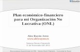 Plan económico-financiero para mi ONL (Organización No Lucrativa)