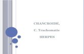 Chancroide, Chlamydia y Herpes