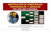 Identificación de Competencias Profesionales y Laborales con Análisis Funcional