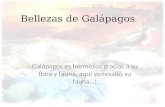 Bellezas De GalPagos