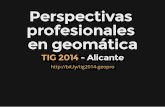 Perspectivas profesionales en geomática 2014