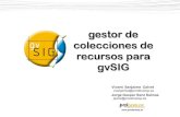 Gestor de colecciones de recursos para gvSIG