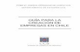 GuíA Para La CreacióN De Empresas En Chile