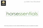 Fichas tecnicas HORSESSENTIALS