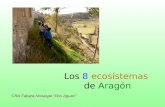 Ecosistemas de Aragón