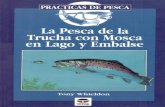 La Pesca De La Trucha Con Mosca En Lago Y Embalse