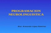 LA PROGRAMACION NEUROLINGUISTICA (PNL)