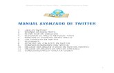 Manual avanzado sobre twitter (2014)