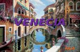 Venecia julia