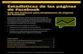 Facebook guía de estadísticas para tu fan page