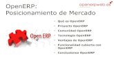 Openerp presentacion