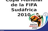 Fifa world cup southafrica 2010