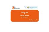 Spring roo and spring insight