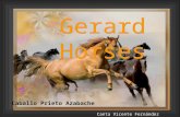 Gerard Horses